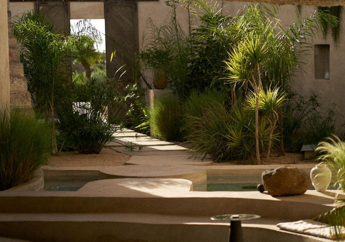 Ecohotel El Agua Arico el Nuevo Luaran gambar