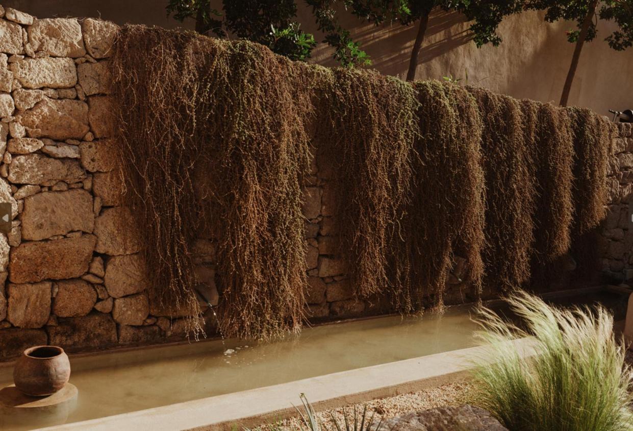Ecohotel El Agua Arico el Nuevo Luaran gambar