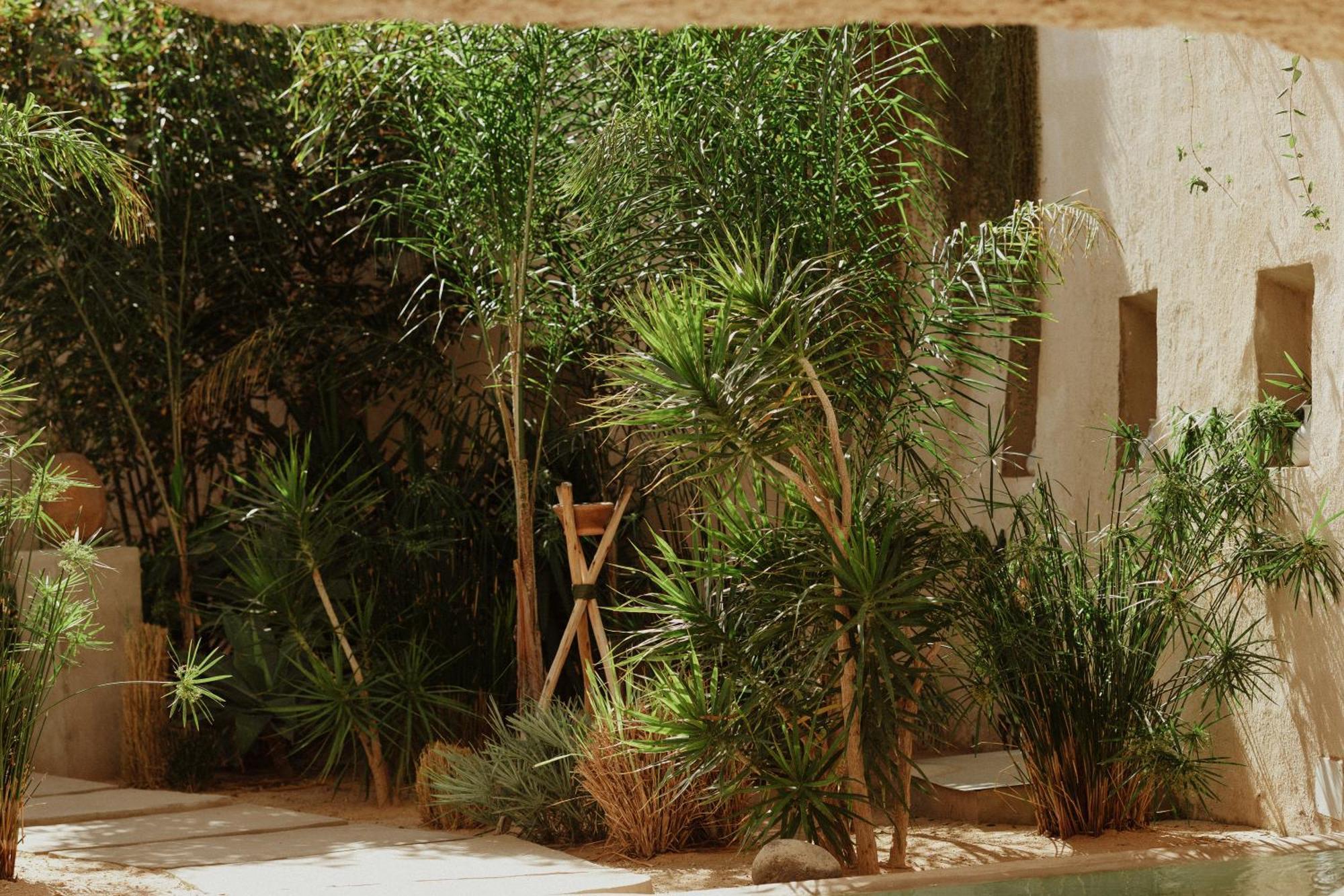 Ecohotel El Agua Arico el Nuevo Luaran gambar