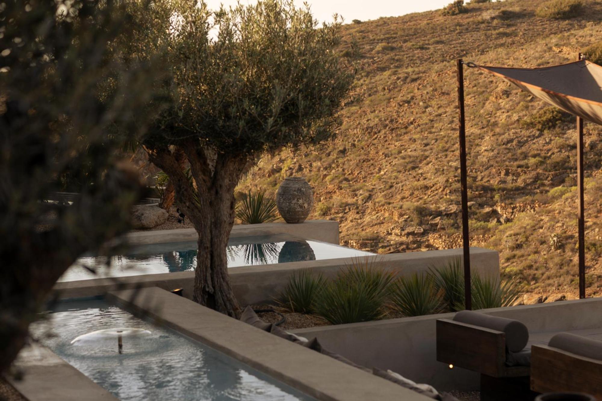 Ecohotel El Agua Arico el Nuevo Luaran gambar